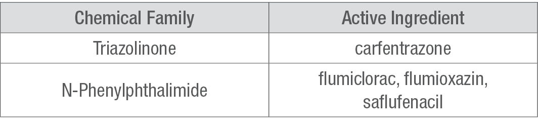 PPO Inhibitors 